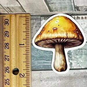 🌀10/$10🌀 Mushroom Reusable Waterproof Vinyl Sticker Decal
